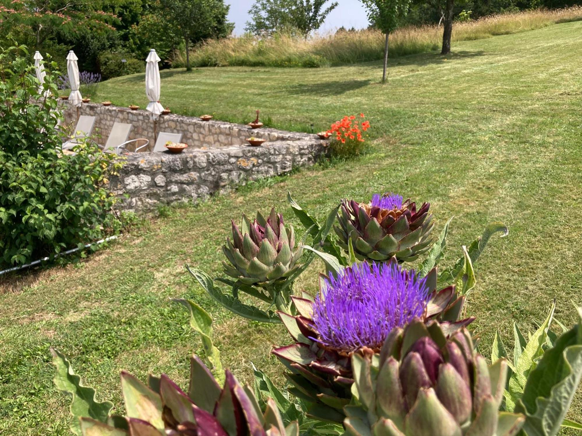 La Bastide Portoly B&B "Pruneaux" Penne-dʼAgenais Eksteriør bilde